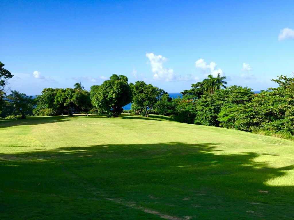 Goblin Hill Villas At San San Drapers 外观 照片